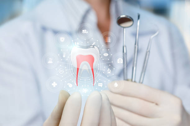Professional Dental Services in Blennerhassett, WV
